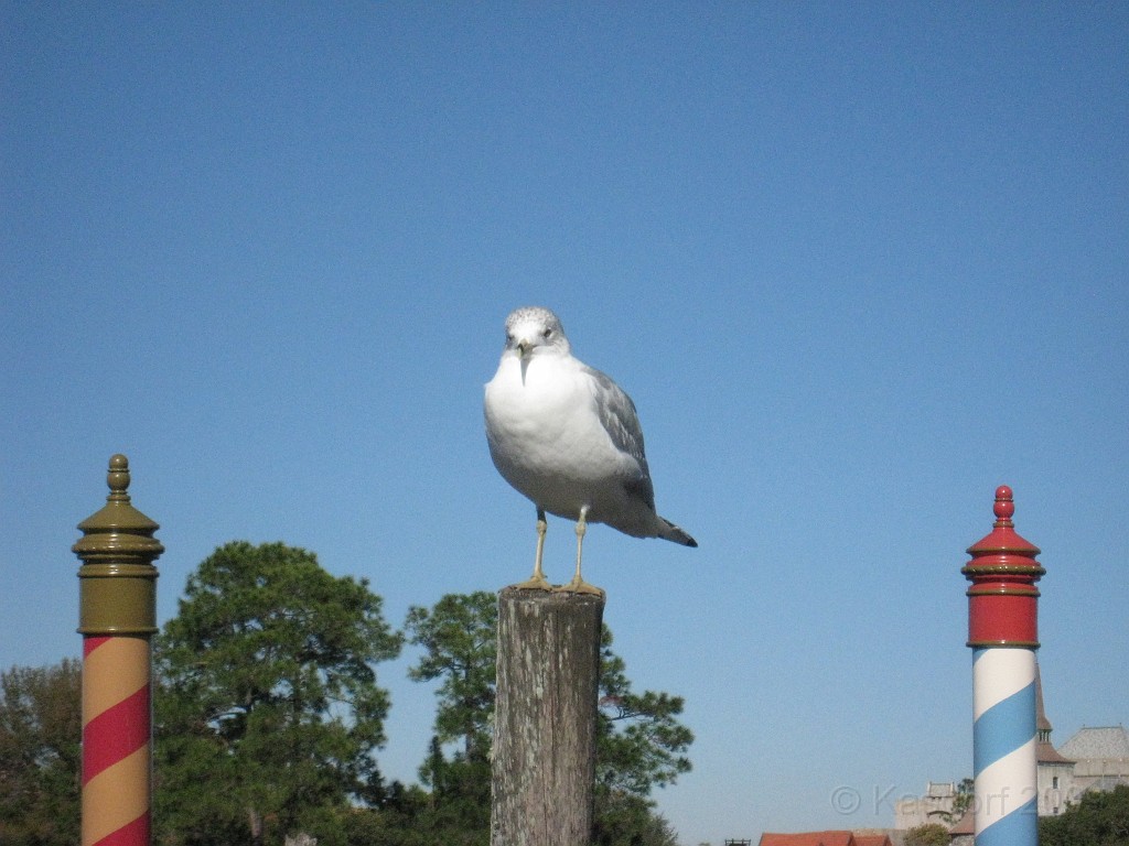 Disney 2010 D3 0960.jpg - January 9-11, 2010 Disney World Florida. Monday, up and ready to roll, took shuttle to Epcot. Caught a couple shows and took a lot of pictures. Finally had to call it a day to get to our plane to go home.